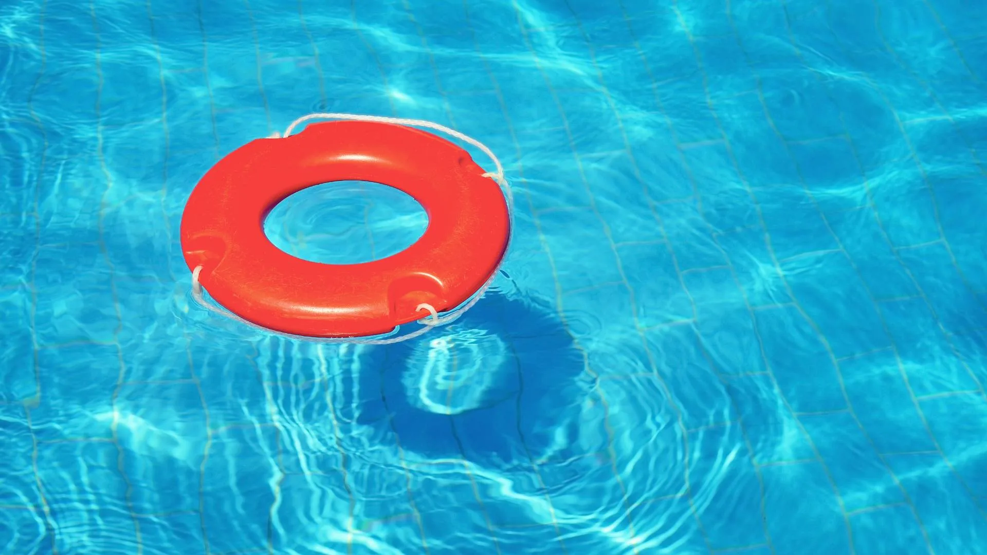 Poolbau in Wien und Niederösterreich